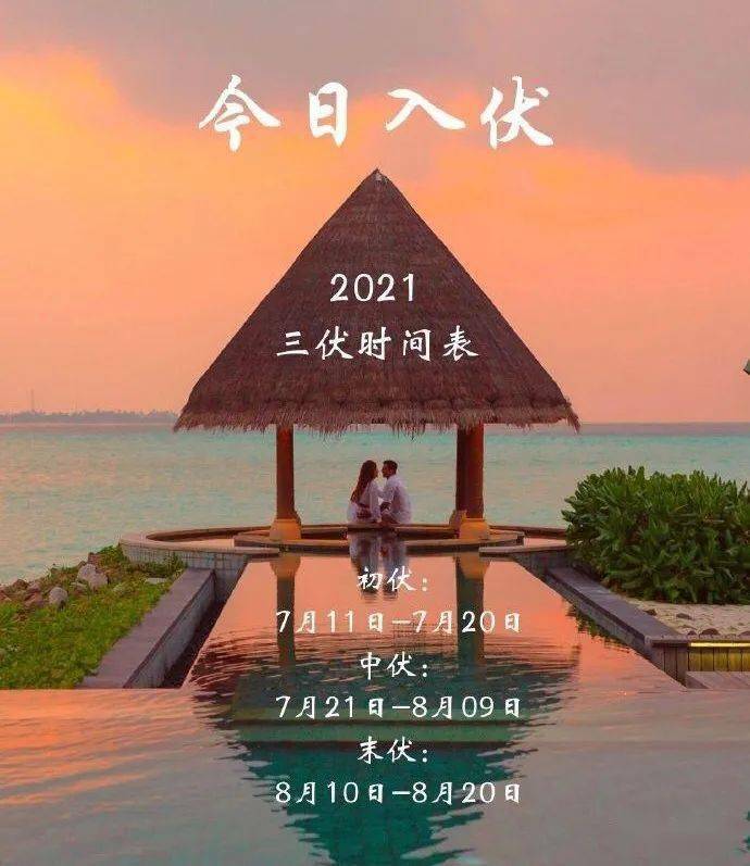 今日入伏,阳谷开启40天的"桑拿模式"和"蒸烤模式"