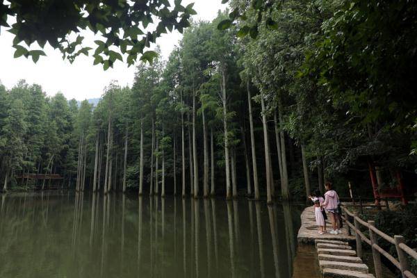 观光|清凉鸡公山