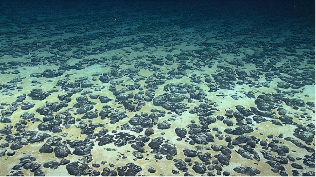 5500米深海出现巨大爪痕,已存在50多年,是谁遗留的?