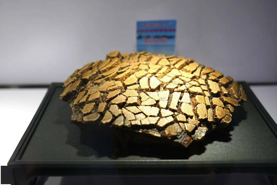 乌拉特后旗赏石博览会获奖作品选赏!