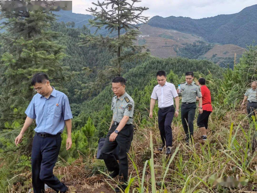 一段跨越87年的期盼终得梦圆