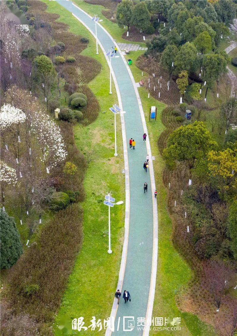 天眼新闻贵阳市 f9f868fc9a7d4778b85e96a98cbd616c.jpeg