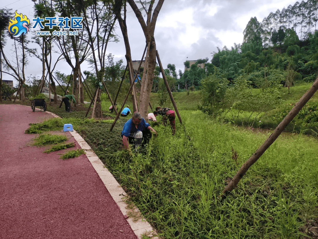 內江一公園還未開放已經爆紅竟然是因為