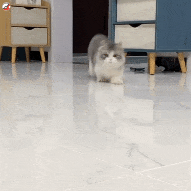 374_374gif 动态图 动图