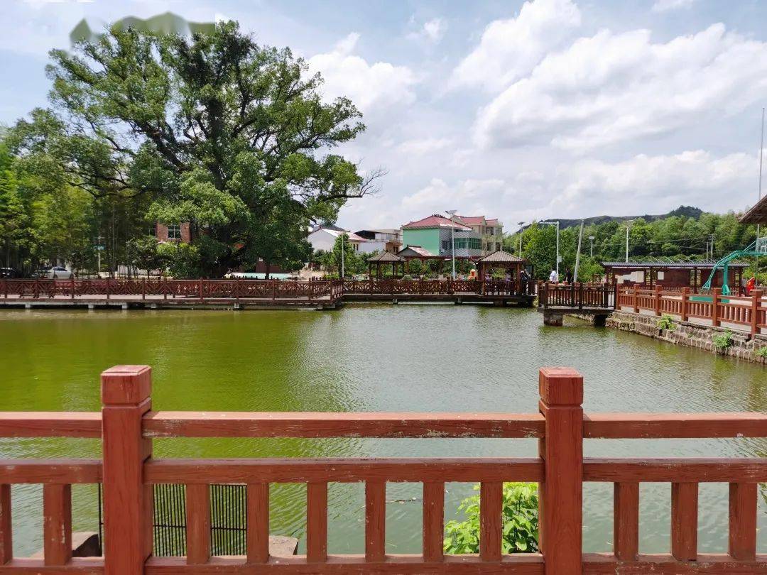 河潭镇记忆乡愁文化广场工作开展以来,贵溪市把改善农村人居环境作为