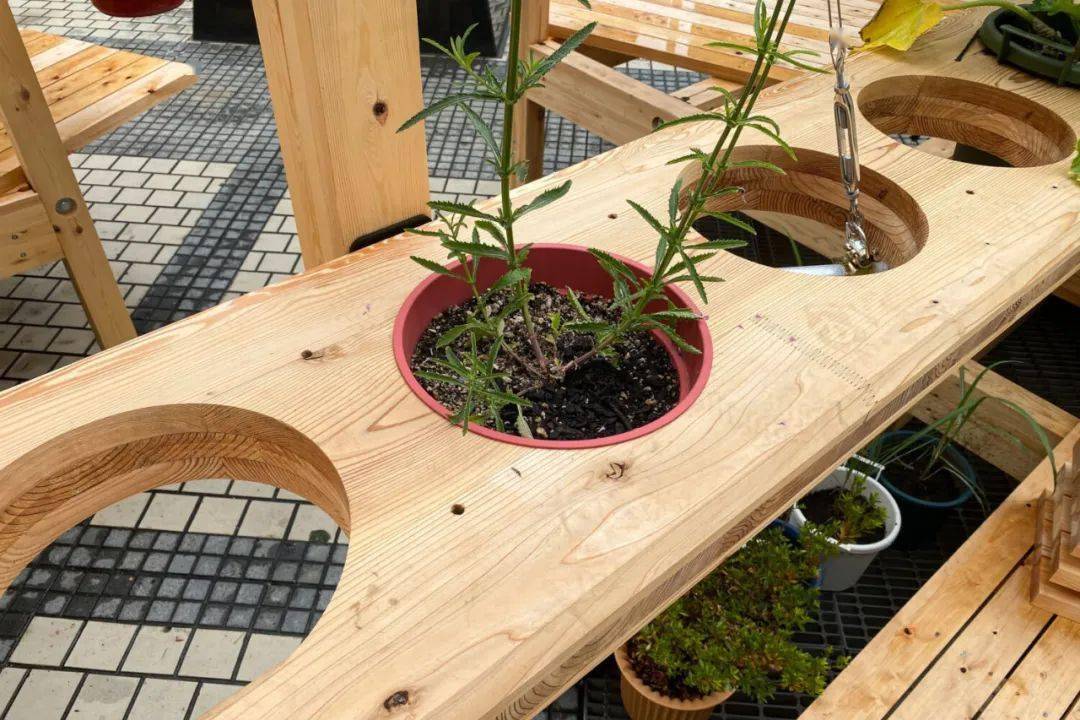 妹岛和世 草间弥生 藤本壮介 石上纯也 用装置焕新城市景观 时尚 中华资讯在线