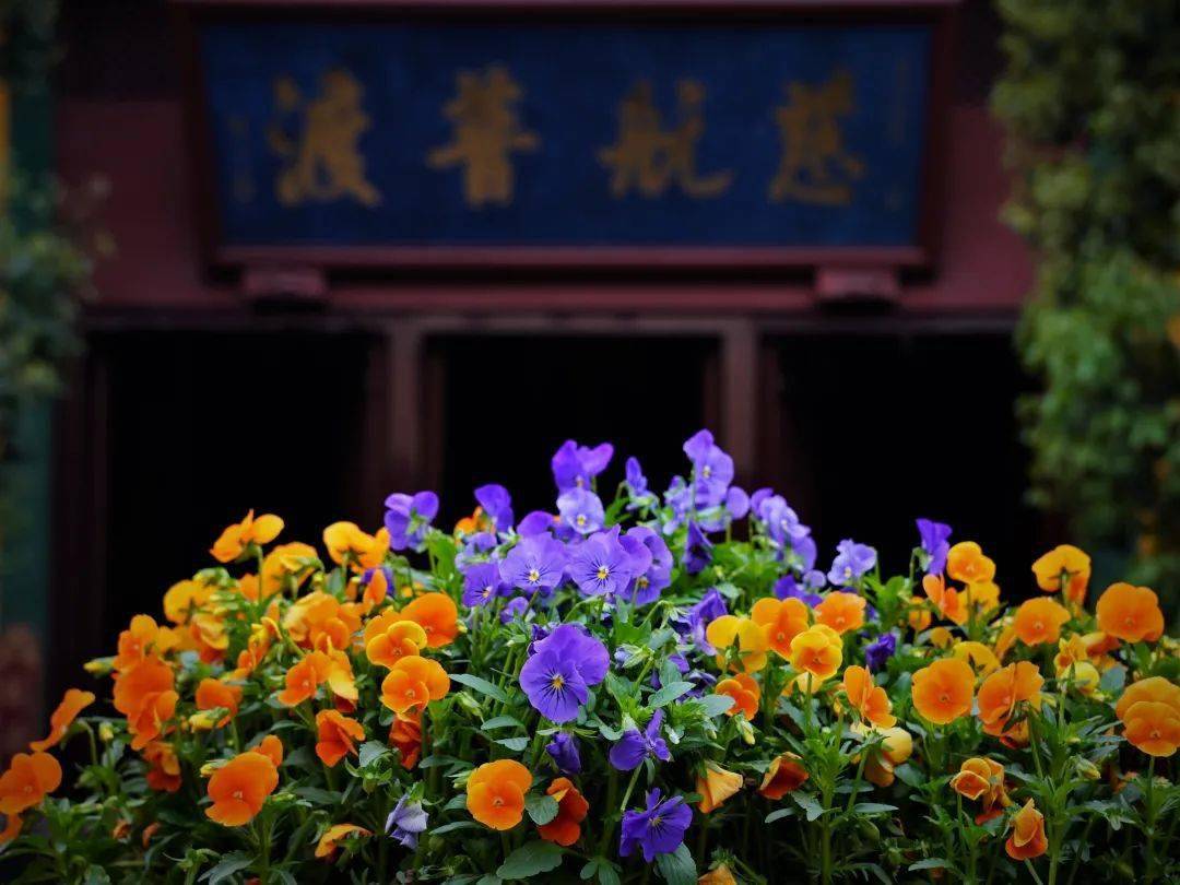 常识五蕴色受想行识上