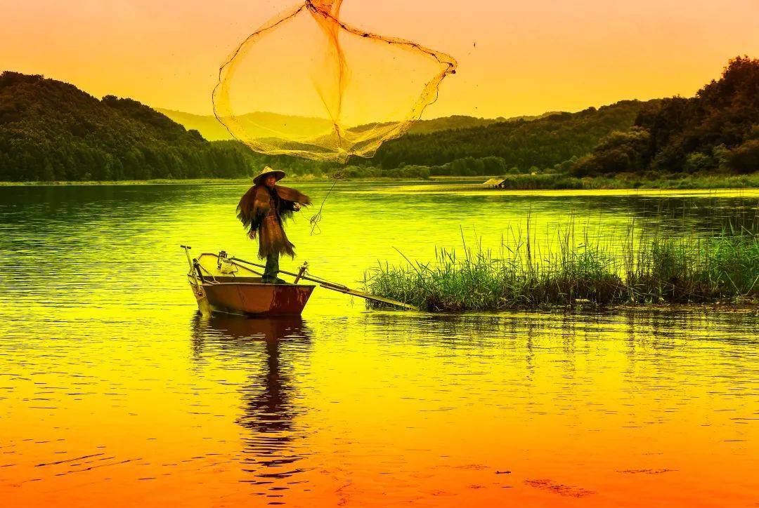 七月盛夏,来伊春吹夏天的风