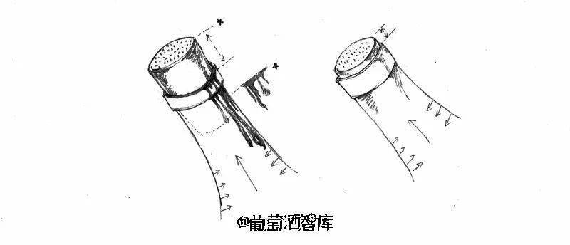 木桶|葡萄酒最常见的12个问题，统统用手绘回答你！