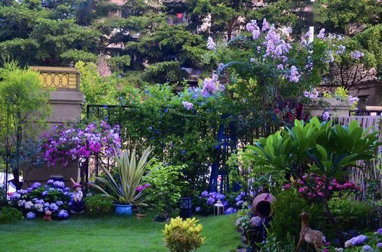 120平米南向院子,被她改造成低维护英式风格的自然式花园,美出天际!