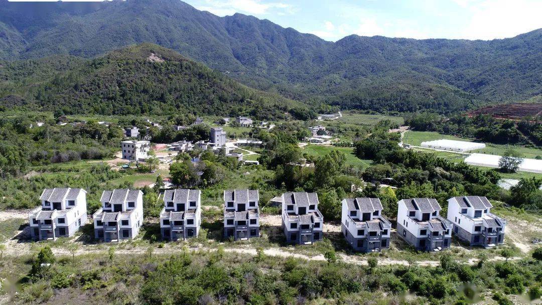 惠东这条村点亮脱贫路_白马村