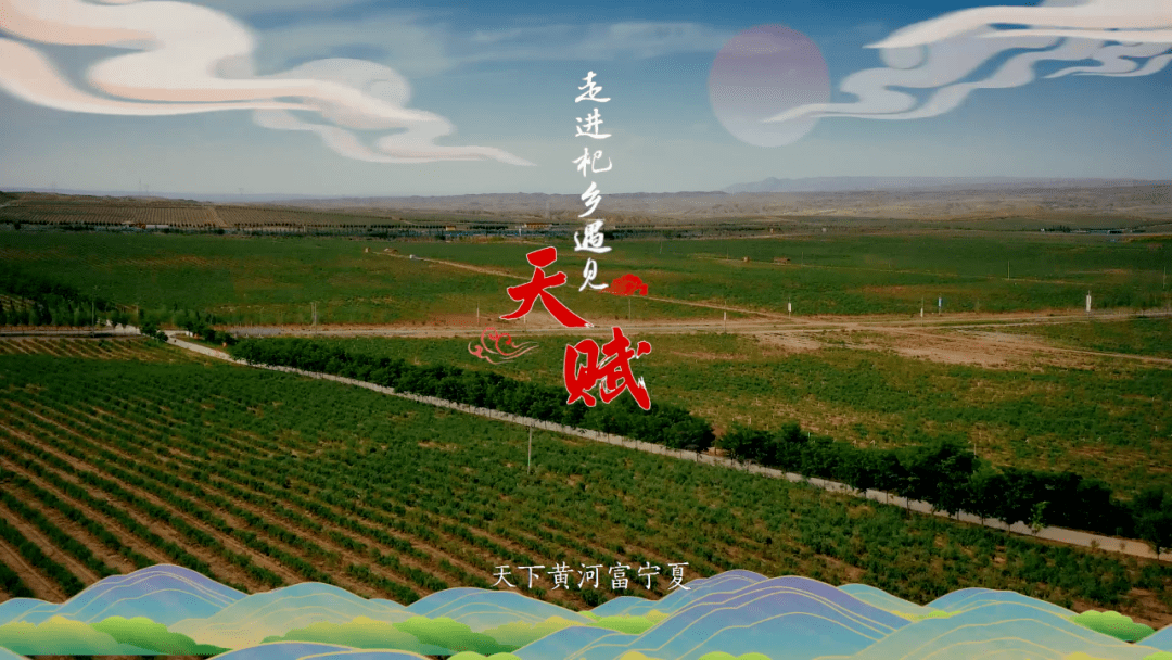 滋补天下信息咨询（滋补堂医药科技上海有限公司） 滋补天下信息咨询（滋补堂医药科技上海有限公司）《滋补堂怎么样》 信息咨询
