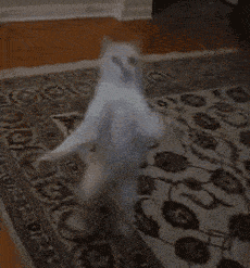 您要的沙雕表情包又又又又又更新了!