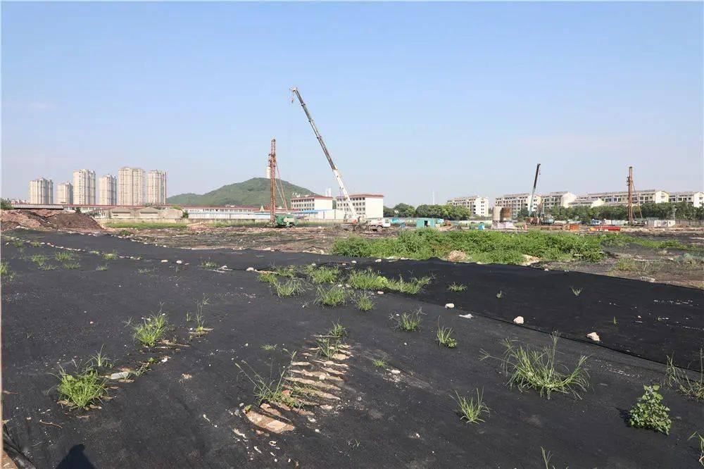 510新闻速览霞客湾科学城国际方案征集结果公布江阴大道部分路段交通