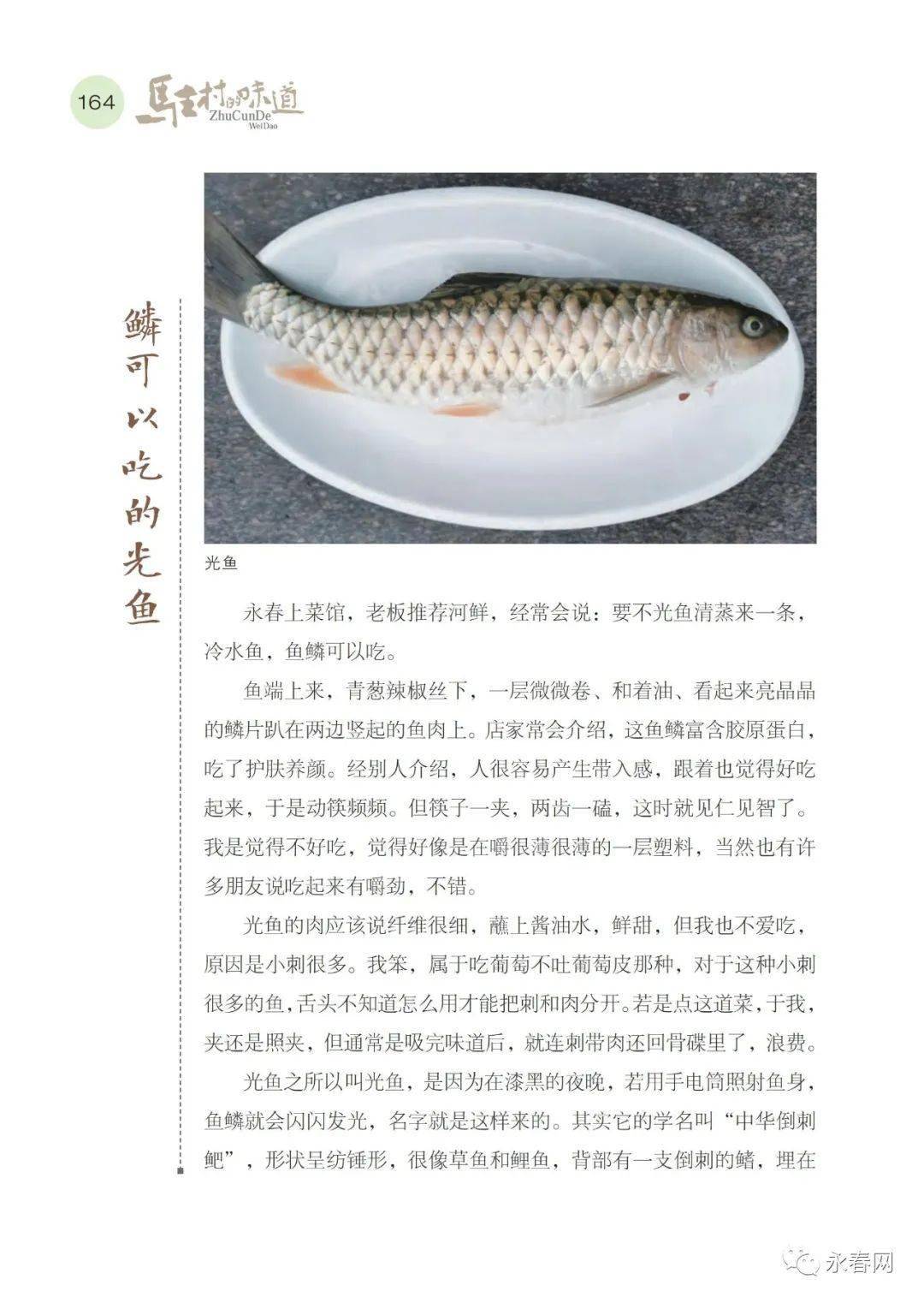 【驻村的味道】连载三十九:鳞可以吃的光鱼