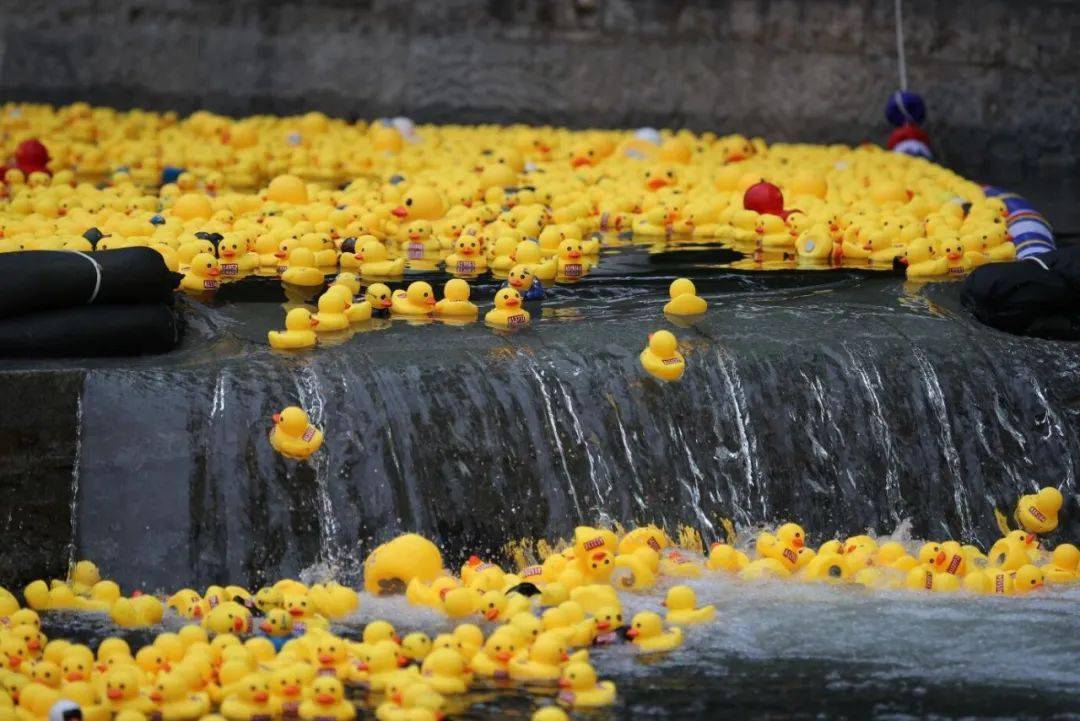 本次活动,无论大家是线上观赛还是现场助力,无论您的小黄鸭是否夺冠