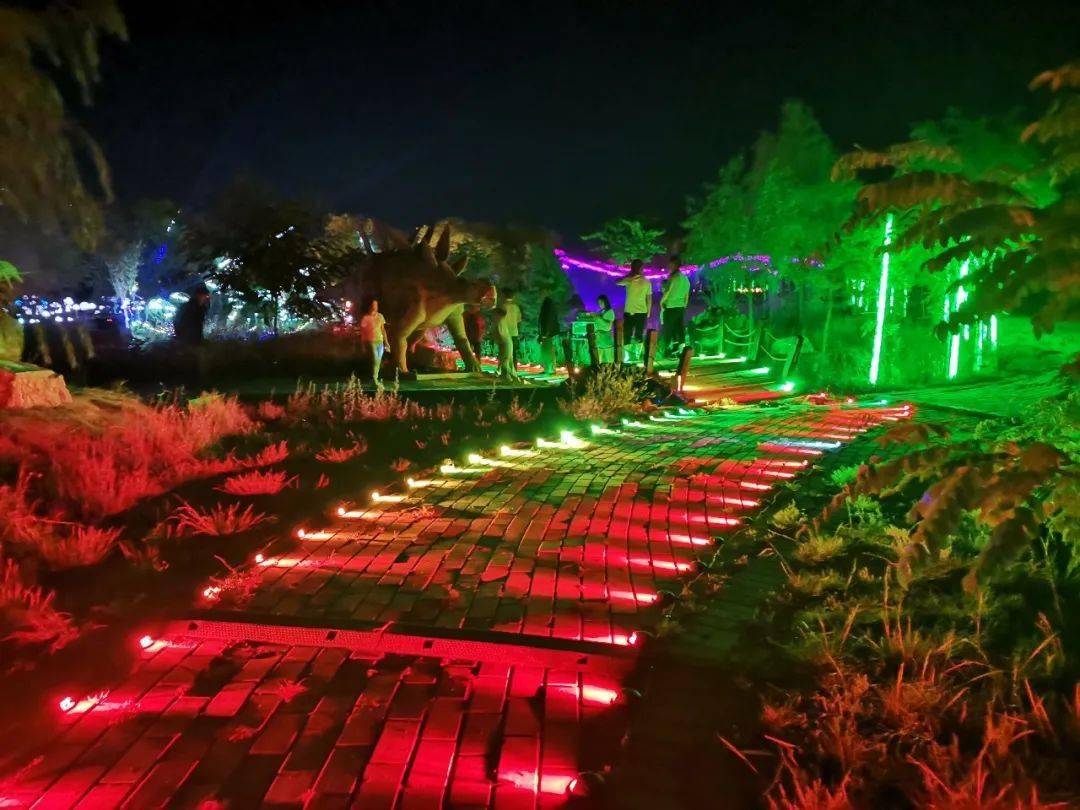 美得惊艳丨品花开敦煌 赏梦幻光影 普康田园综合体光影嘉年华惊艳亮相 点亮整座武威城 互动