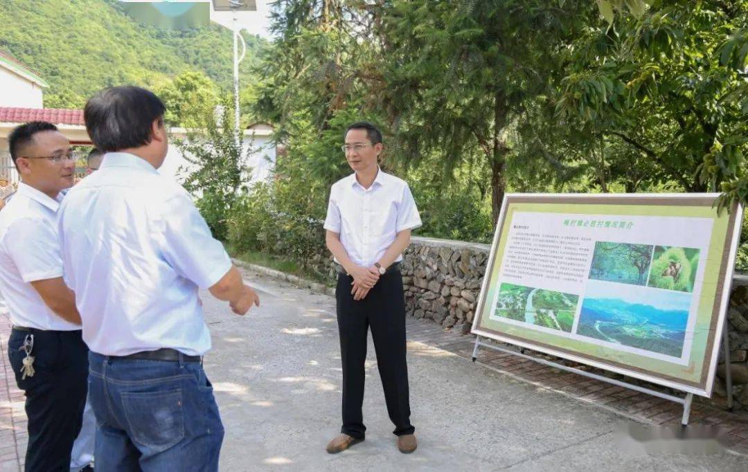 崩兴宇前往梅村镇调研乡村振兴和全域旅游工作_贵池区