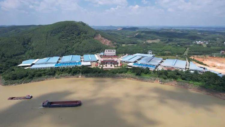 石龙镇:人大代表高质量履职助推经济社会高质量发展