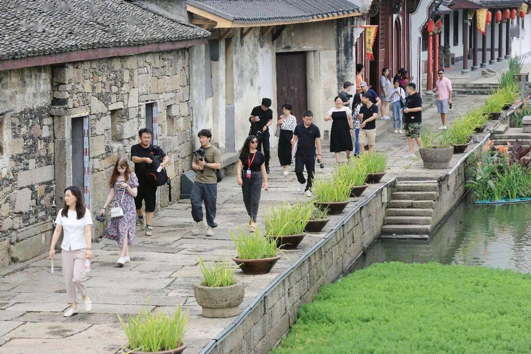 "网红"与中央广播电视总台多语种工作室主播共40余人来到衙前镇凤凰村