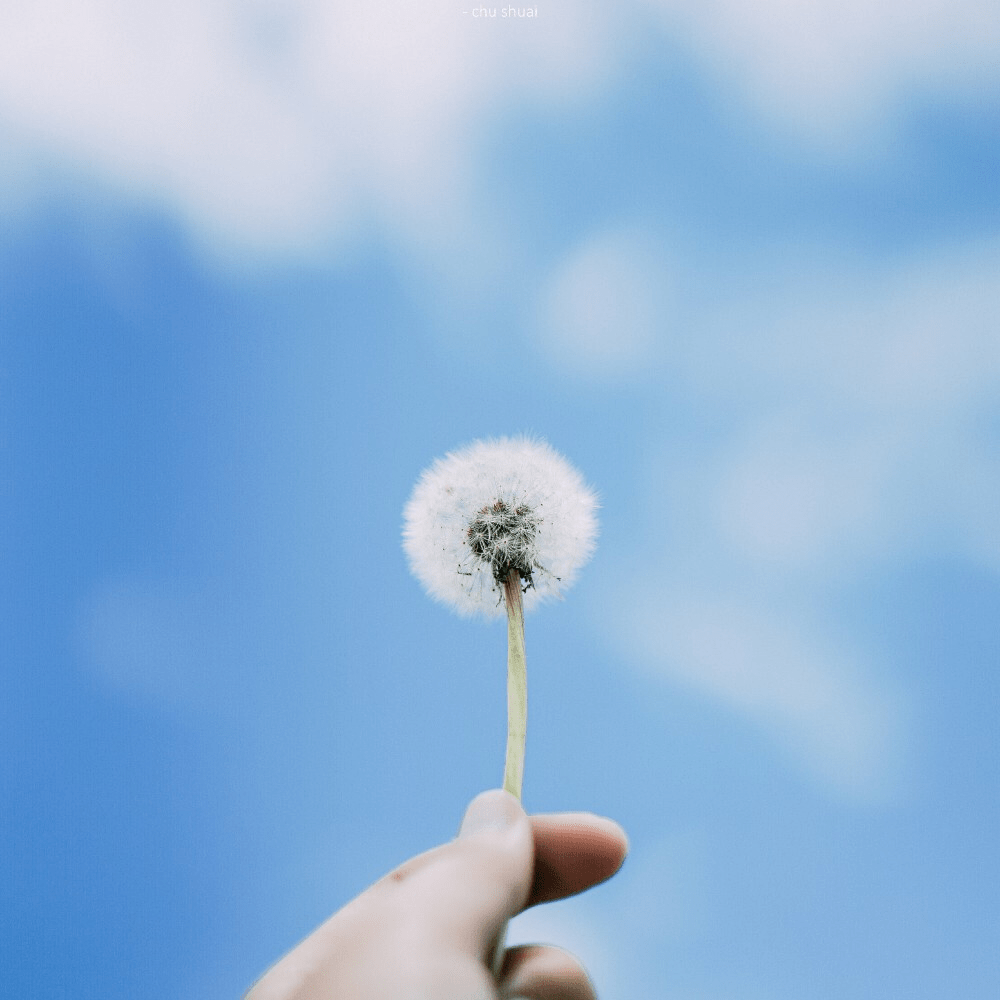 怎么才能让自己心情好 aa4b85ea08e442eb994ac4772c94e749.png