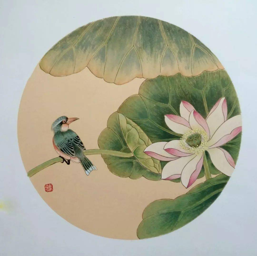 花鸟小品50幅,清新动人!_国画