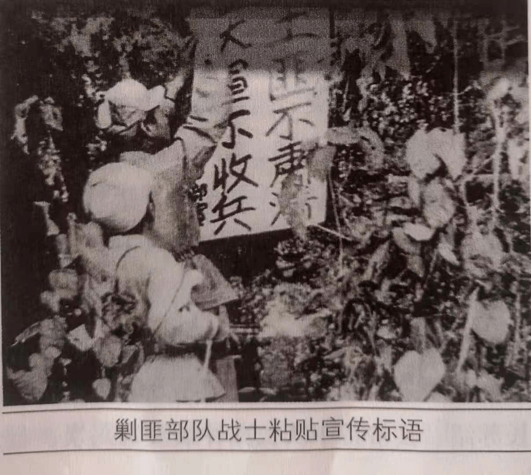 1956年凉山剿匪图片