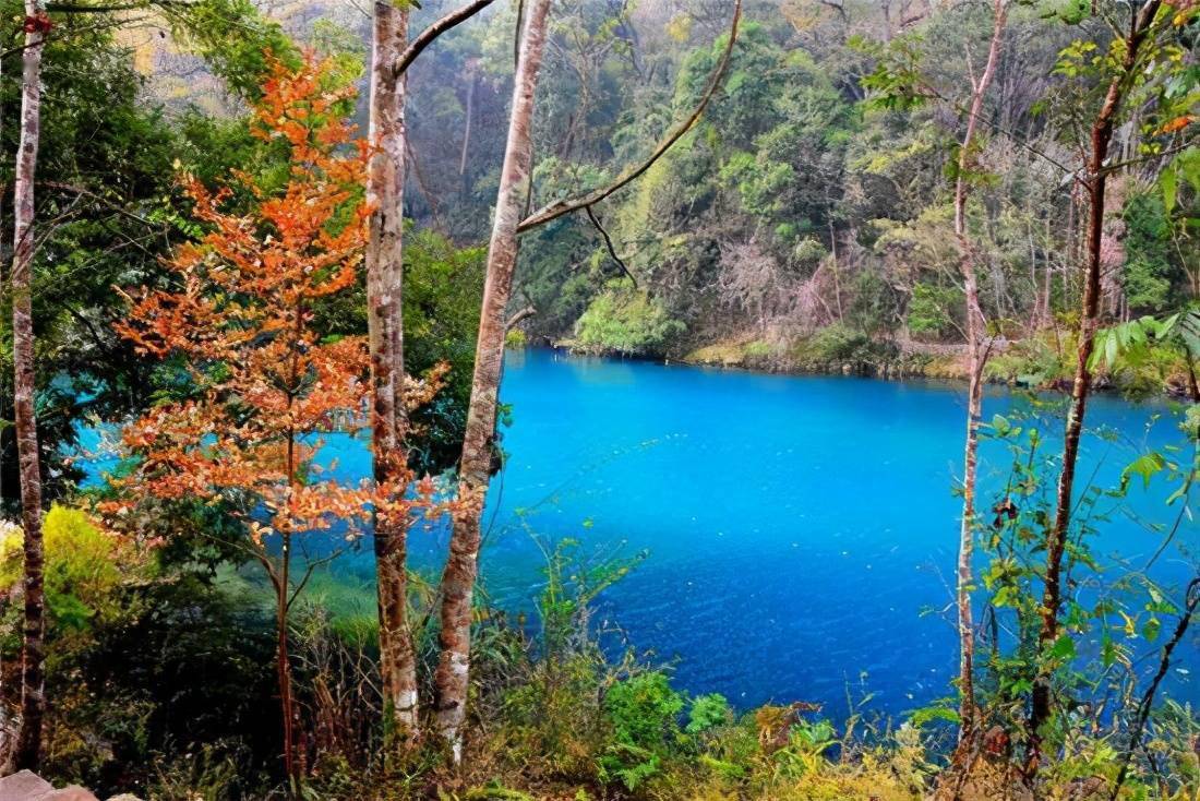 荔波,秀麗的樟江水景,繁盛的原始森林,奇特山水風光,美若仙境