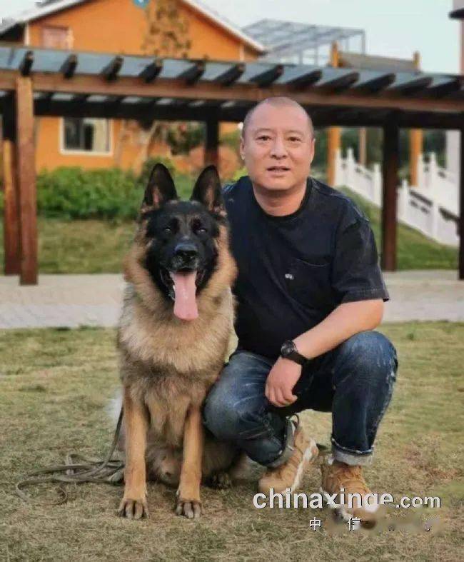 1990年出生,内蒙赤峰人,12岁开始饲养信鸽,2016年加入金翔家园从事