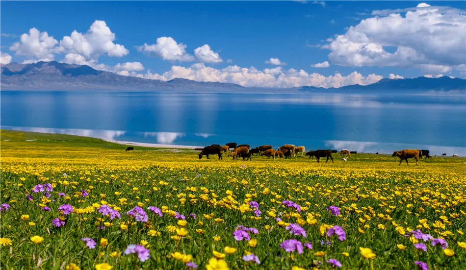 赛里木湖位于哪个市 cf99d8fc5f774f0e9164bb1485cc775f.png