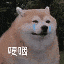 活动|来捡漏!日本贵妇品牌卖出白菜价!