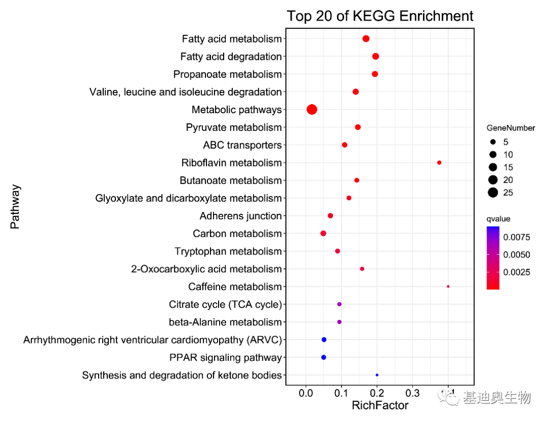 不用编程,三分钟kegg/go富集分析火热出炉!