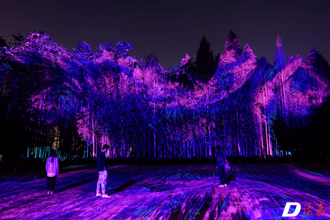 晚上6点半到10点森林里的裸眼3d西南湖夜景上新