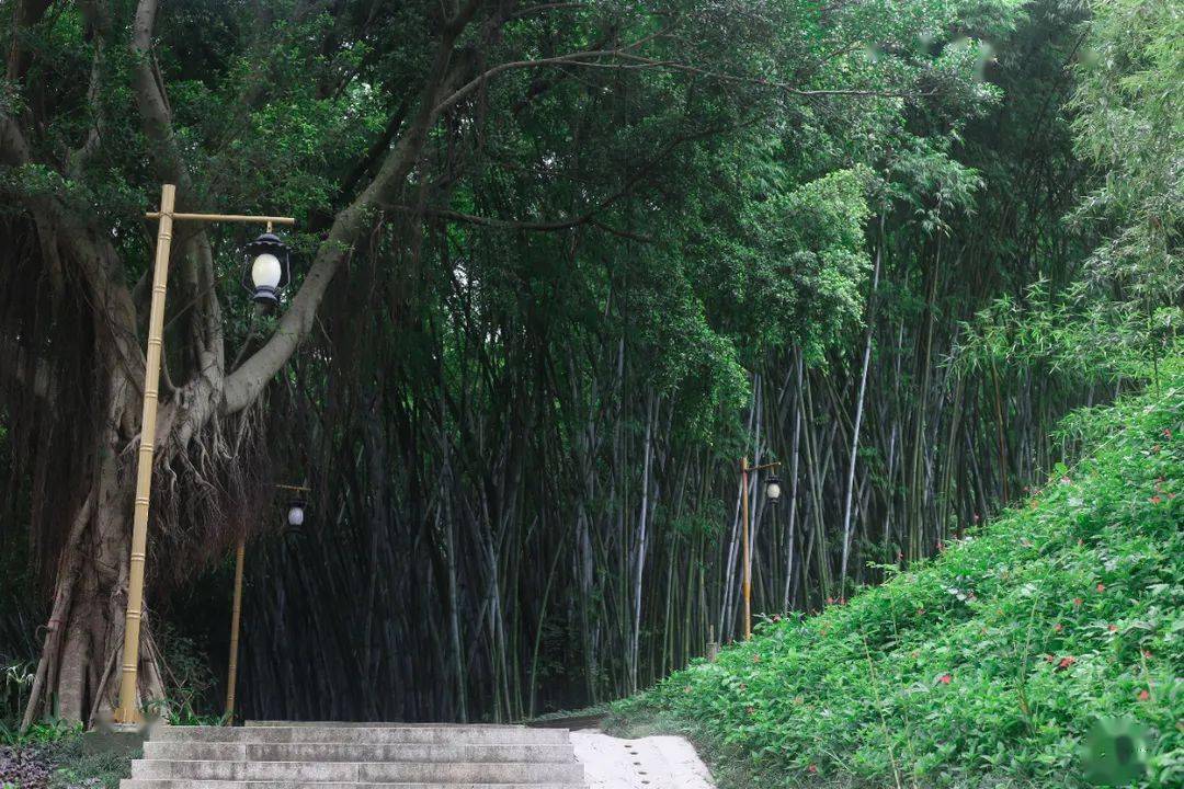 这里曾是深圳最繁华的地方之一._翠竹
