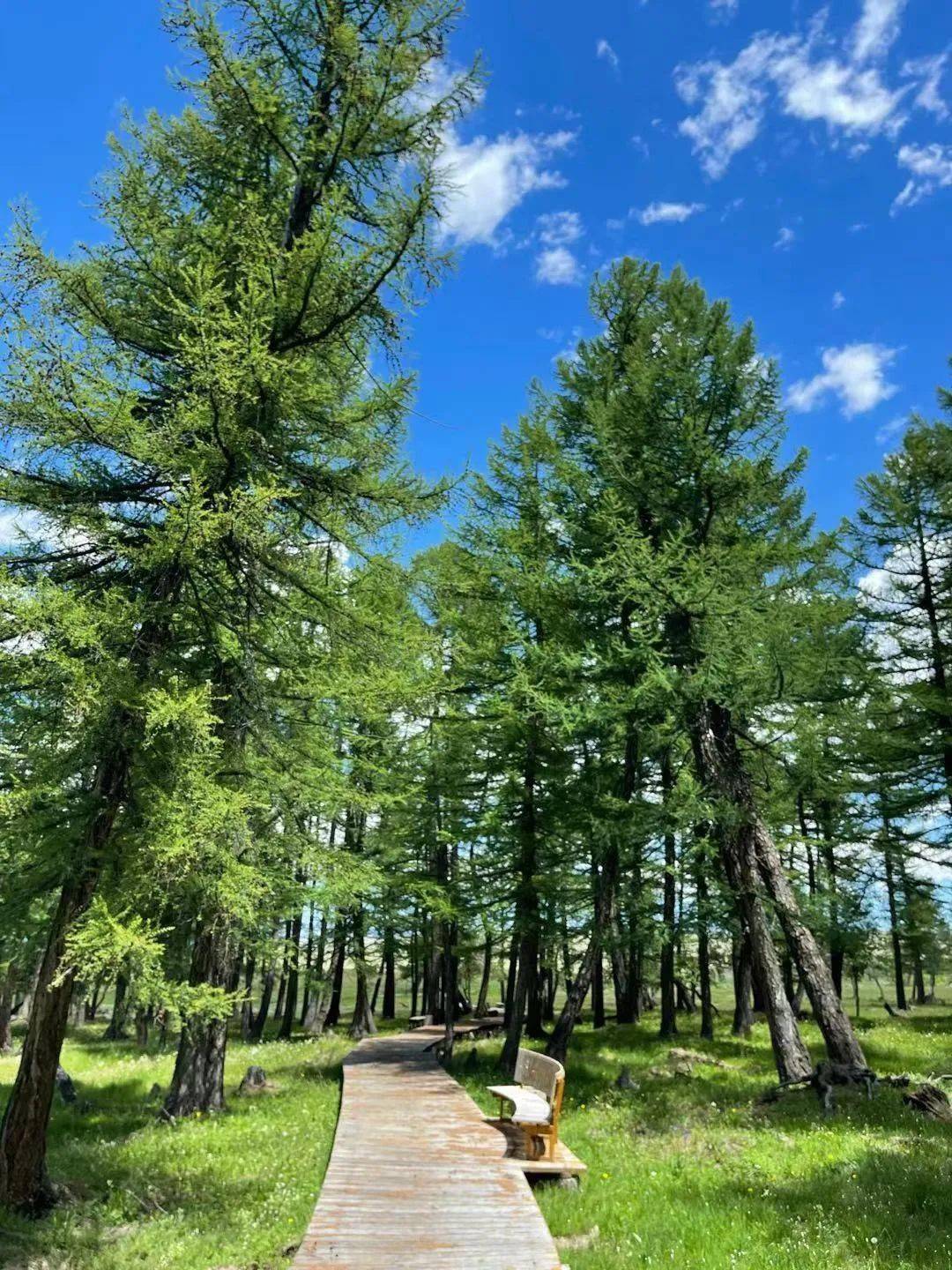 古尔邦节小假哈密周边游首选焕然一新的白石头牧场