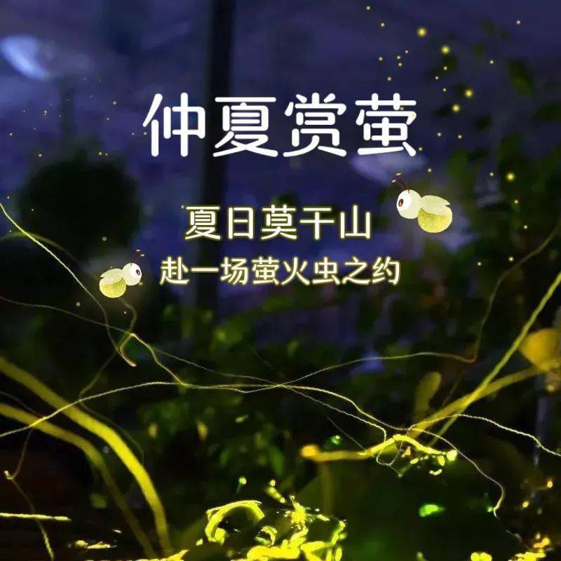 梦境的循环，每晚的告白与拒绝