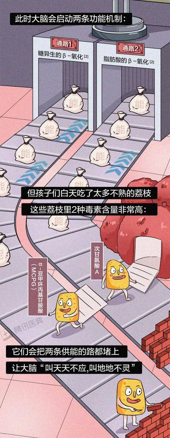 生物|吃下荔枝后，122个孩子永远地离开了