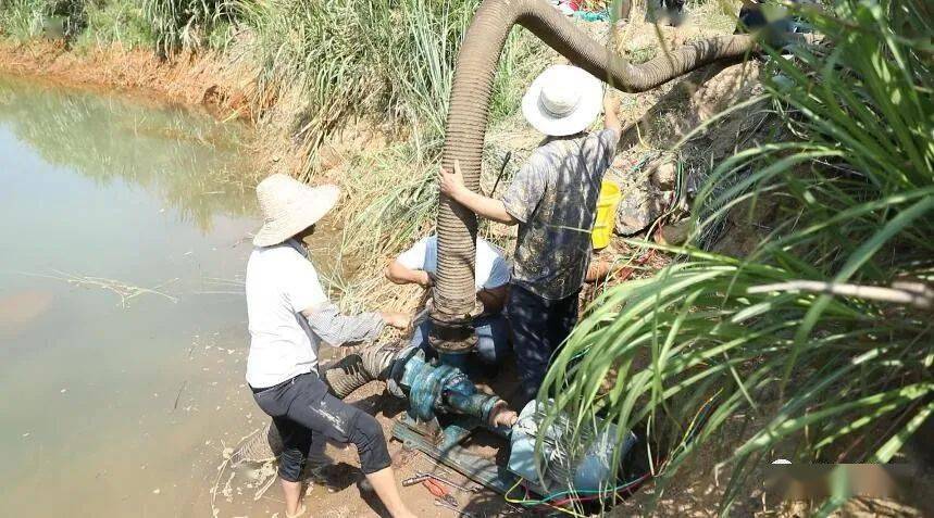 我為群眾辦實事河路口鎮尖山村抽水抗旱為農田解渴