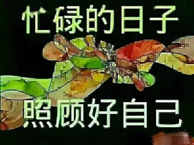 说与不说都是一种伤害 457b444d374d43769b44000774fb4538.jpeg