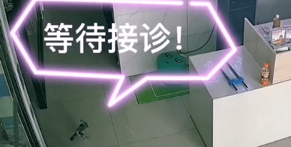 4dbd8dcac88e40de9727dfbf98289e5d.png