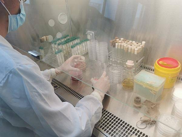 结果|夏天最容易吃坏肚子了！拿热水烫餐具有用伐？专家做了个试验