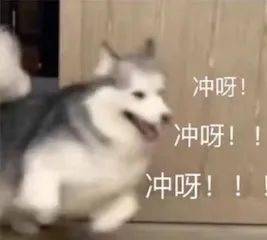 圣塞主|周冬雨刘昊然《平原上的摩西》入围圣塞主竞赛;《性爱自修室》第三季预告发布