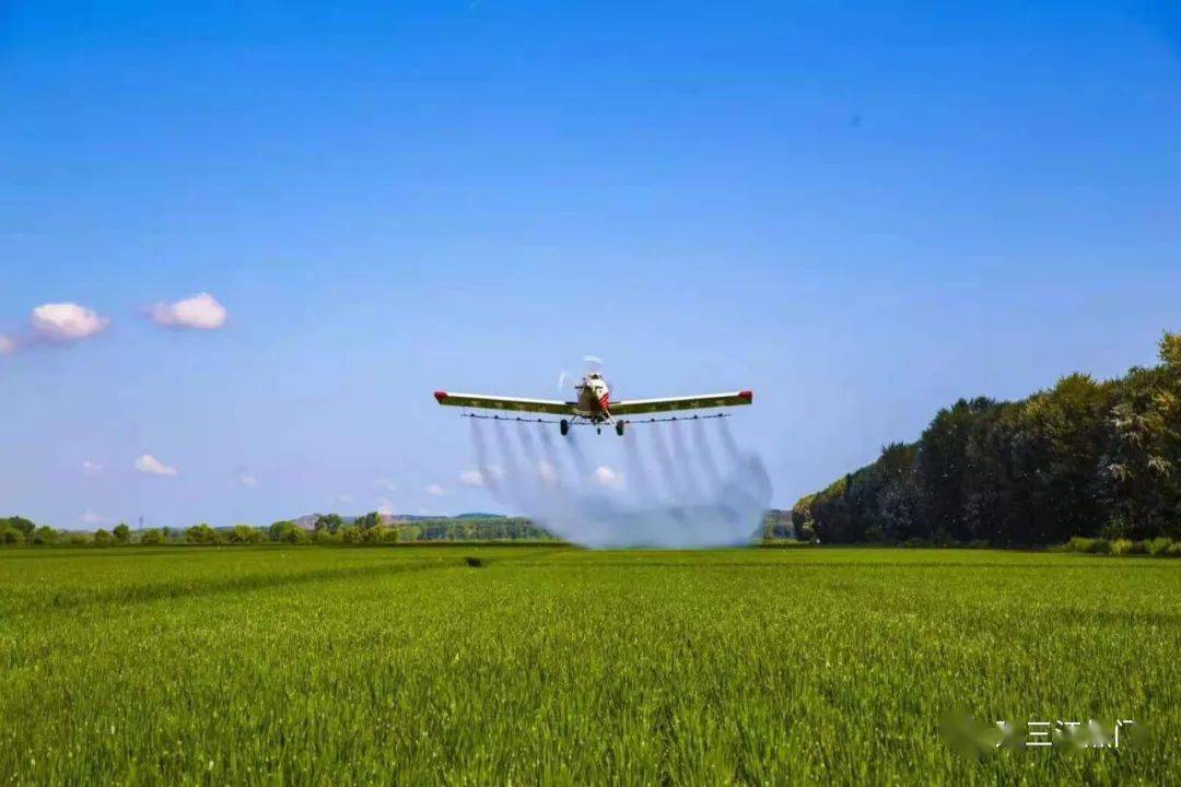 建三江这个农场再次被人民日报关注头版头条