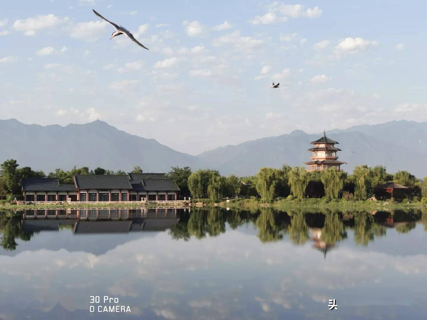 题西安市鄠邑区千古秀水渼陂巡湖人摄影作品《祥云》文/李景宁