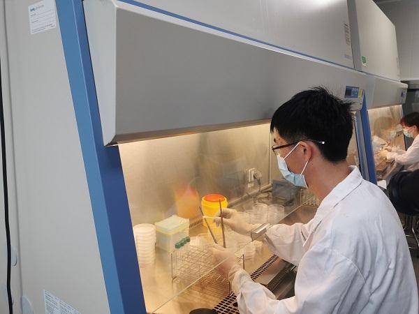 结果|夏天最容易吃坏肚子了！拿热水烫餐具有用伐？专家做了个试验