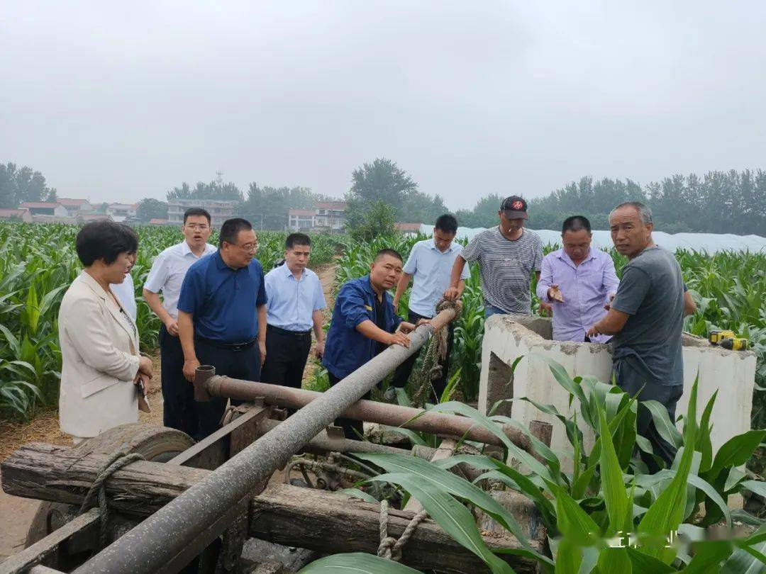 柘城县副县长张炎耀调研指导农田水利设施整改工作