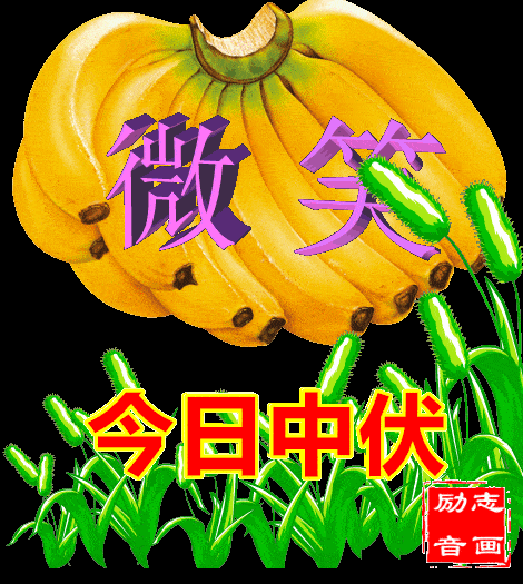 不用打字就可以聊天的图片中伏特辑