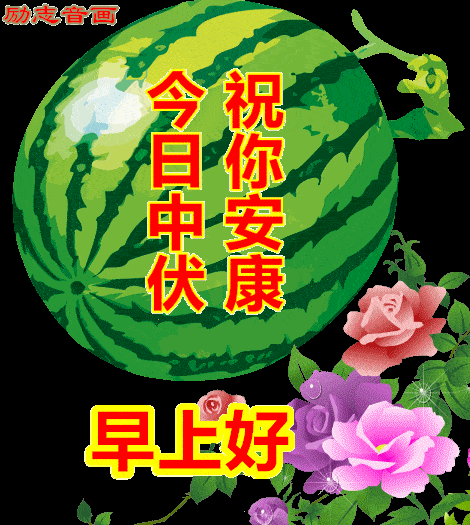 不用打字就可以聊天的图片中伏特辑