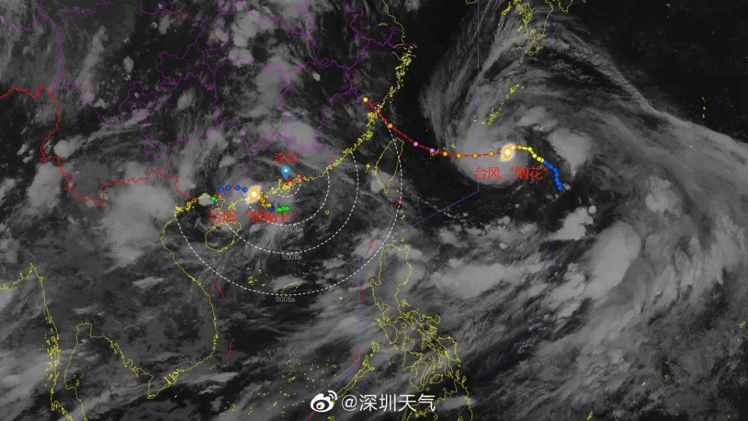 新龙华头条丨围观娃们的暑假全新打开方式探营龙华首