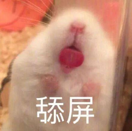 饱和度|为什么浊心斯卡蒂的衣服是红配绿，却依旧很好看？